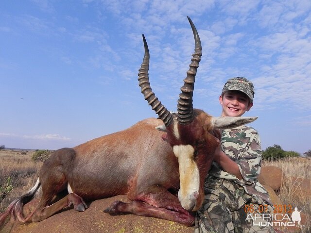 Blesbok