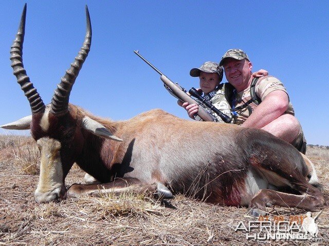 Blesbok