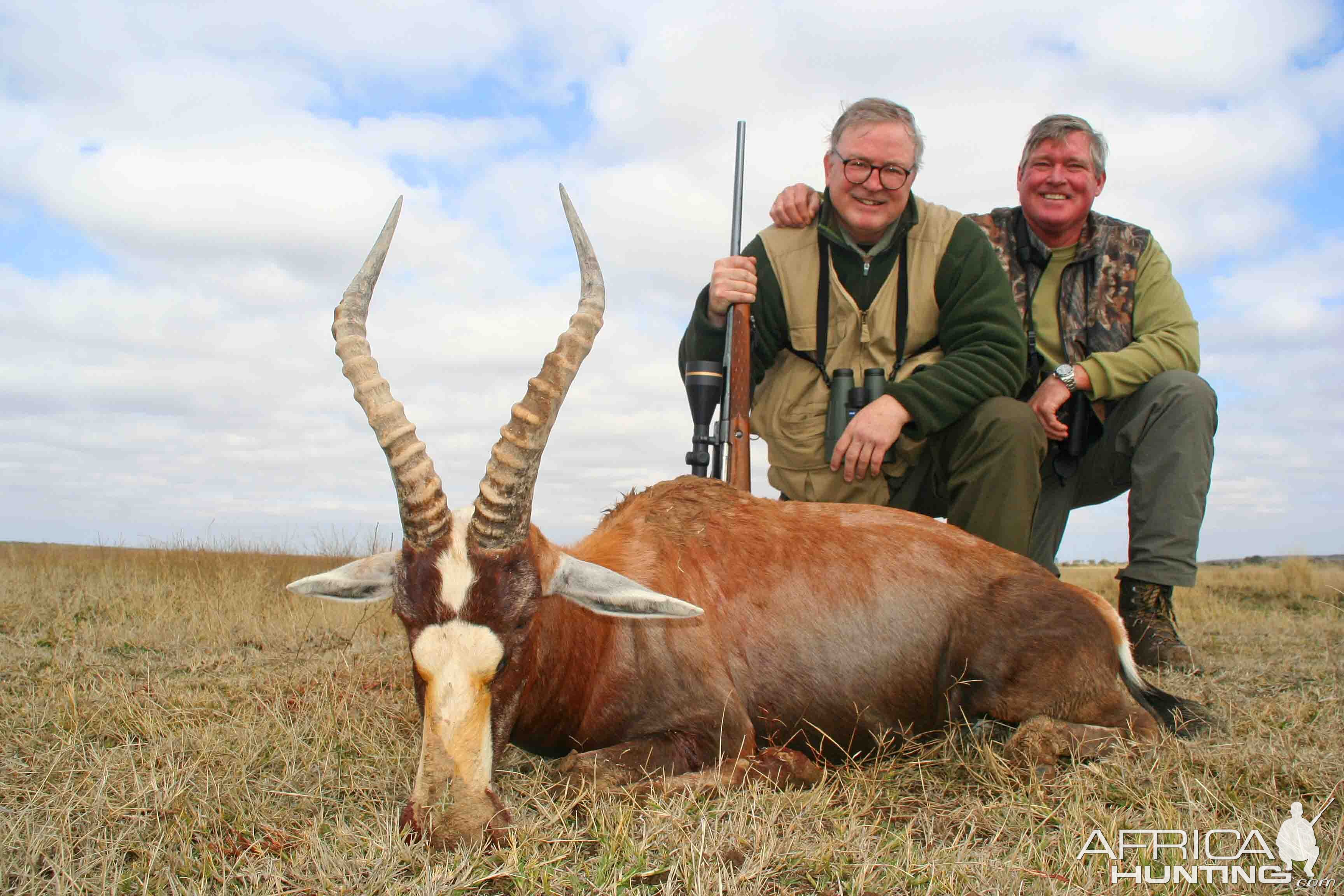 Blesbok