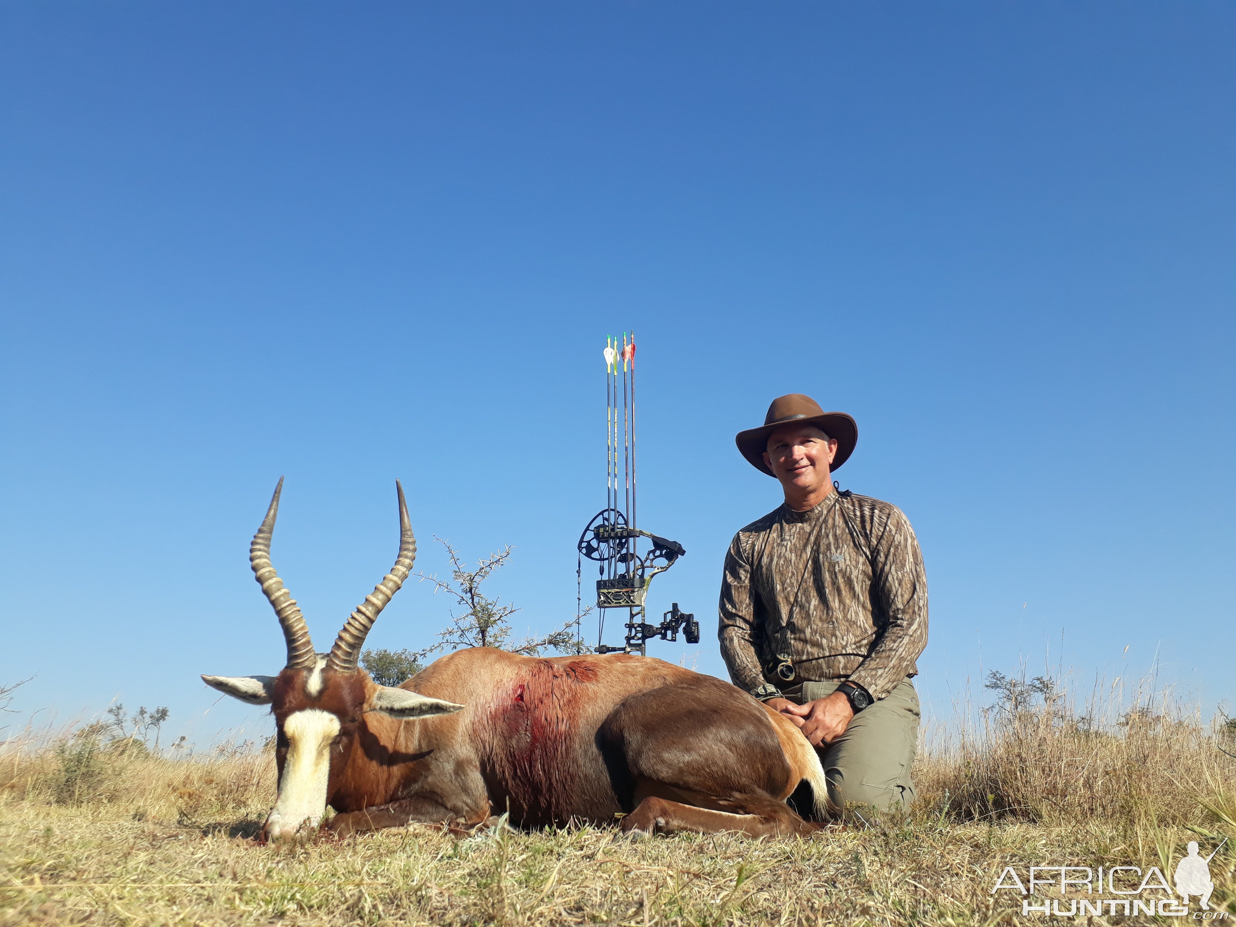 Blesbuck bow hunt