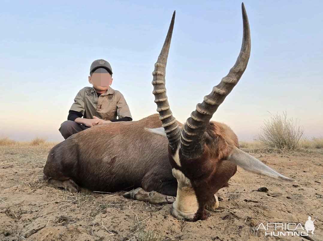 Blesbuck Hunt Kalahari South Africa