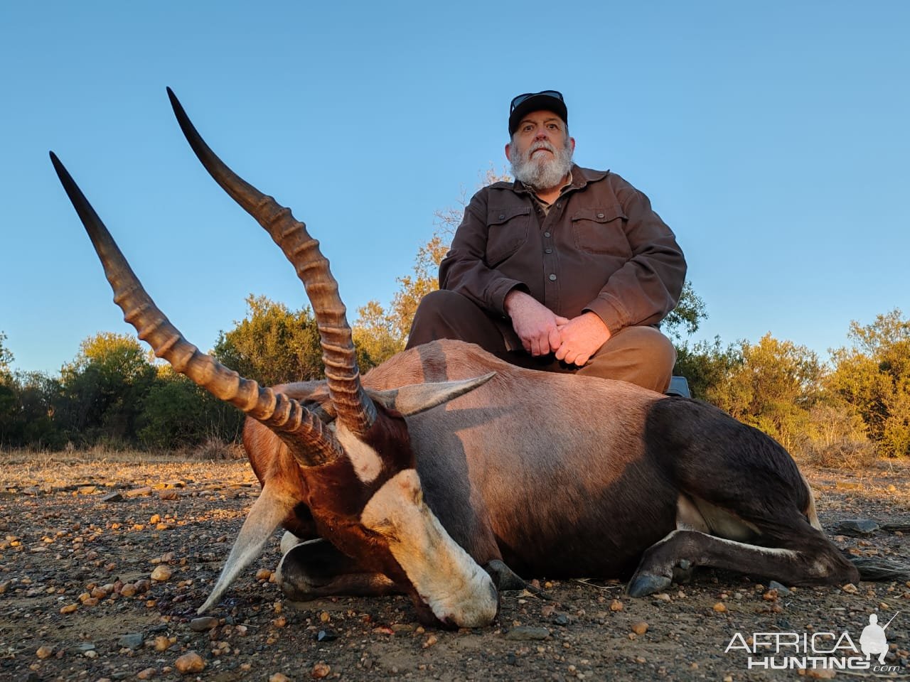 Blesbuck Hunt South Africa