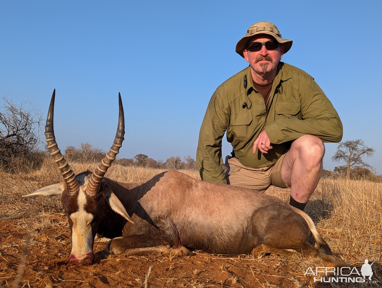 Blesbuck Hunt South Africa