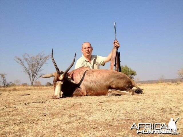 Blesbuck - South Africa Hunted with Tolo Safaris