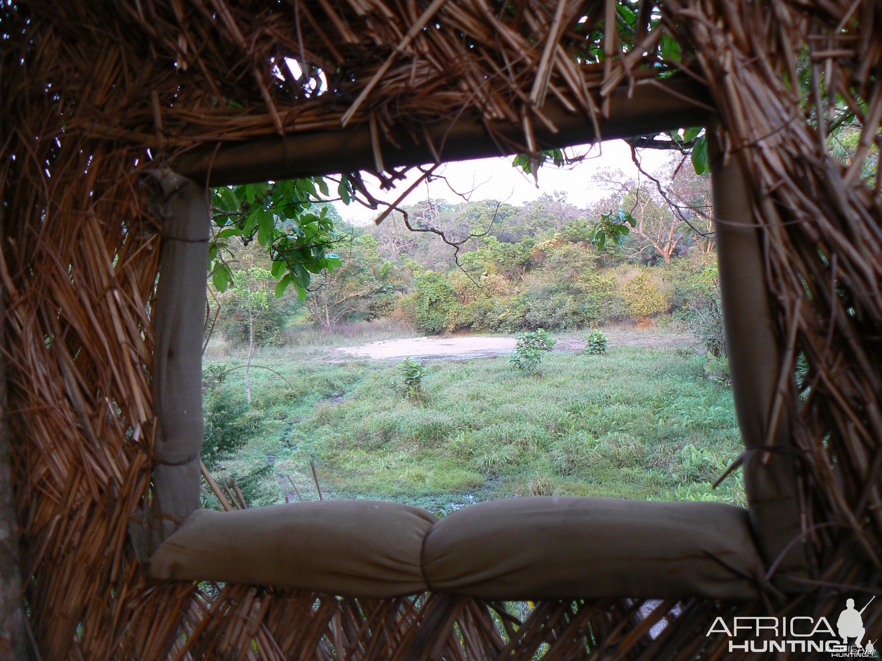 Blind in Central African Republic