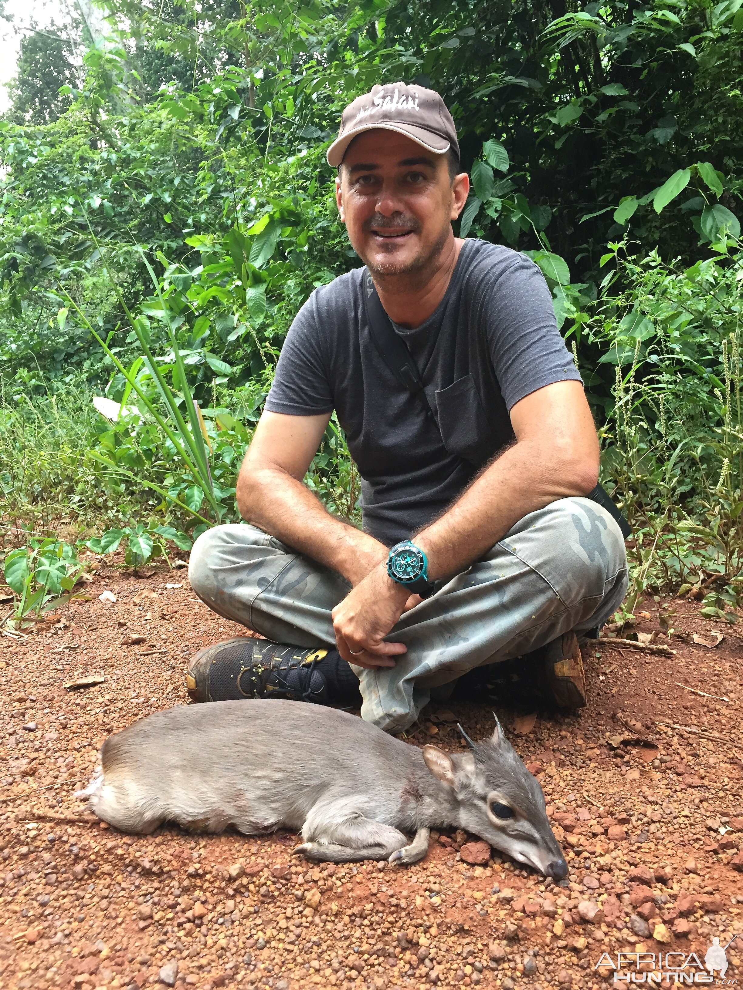 Blue Duiker hunt Congo