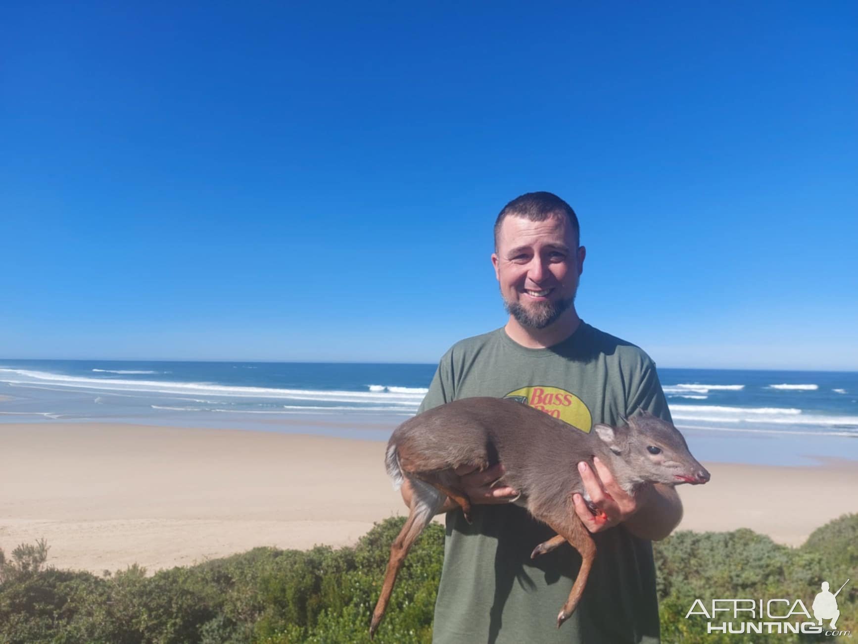 Blue Duiker Hunt Eastern Cape South Africa