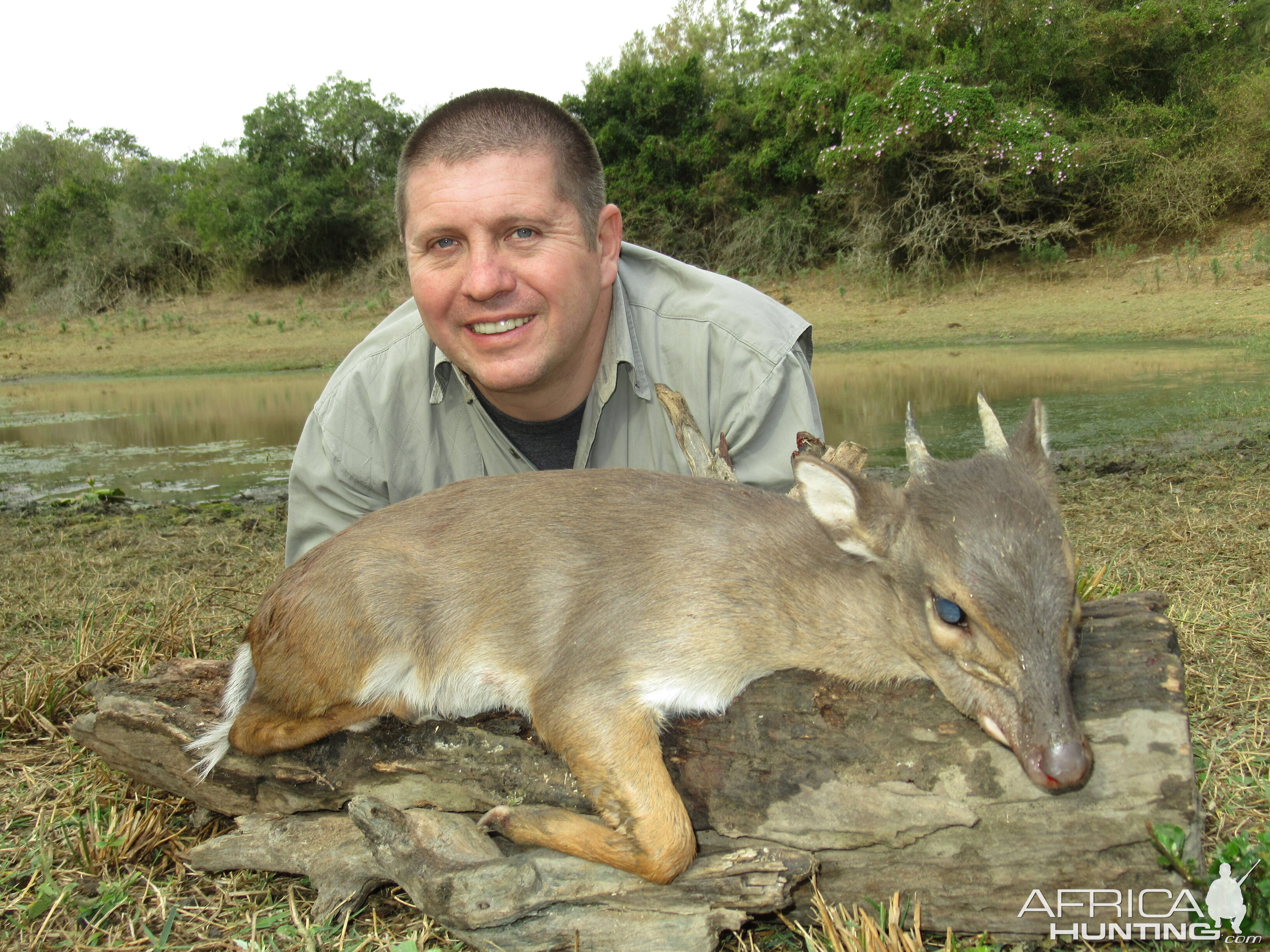 Blue Duiker Hunt South Africa