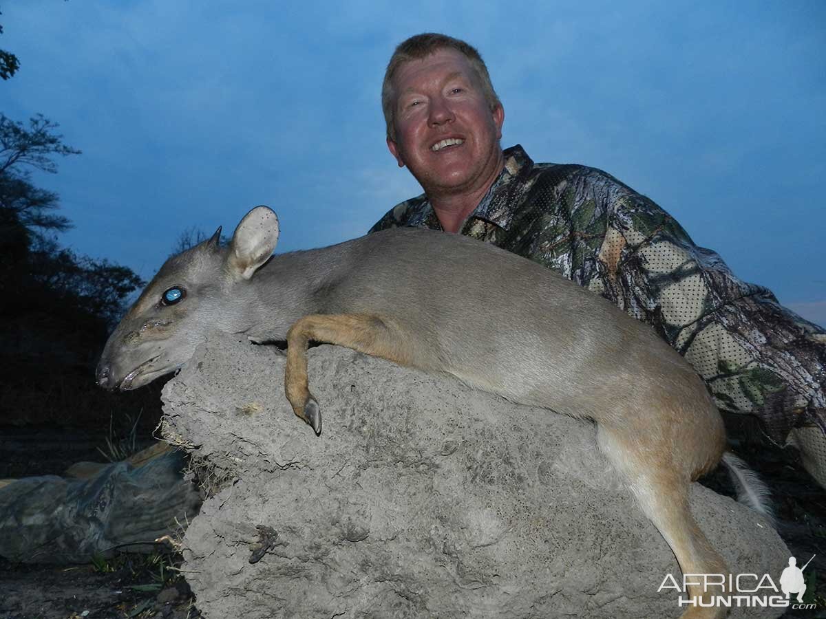 Blue Duiker Hunt Zambia