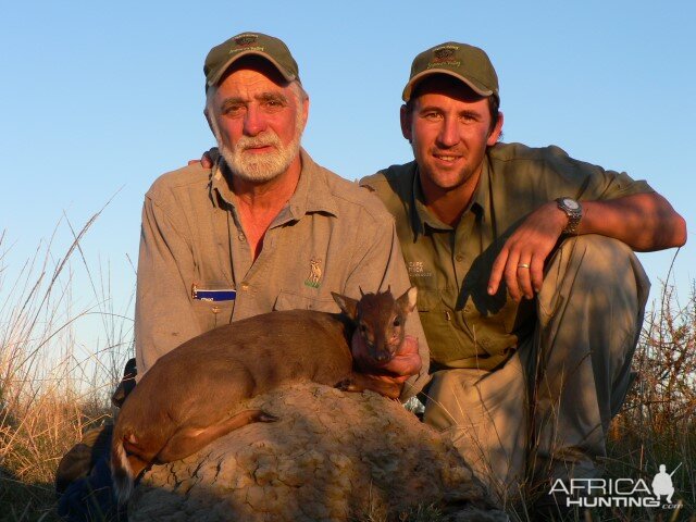 Blue Duiker Hunt