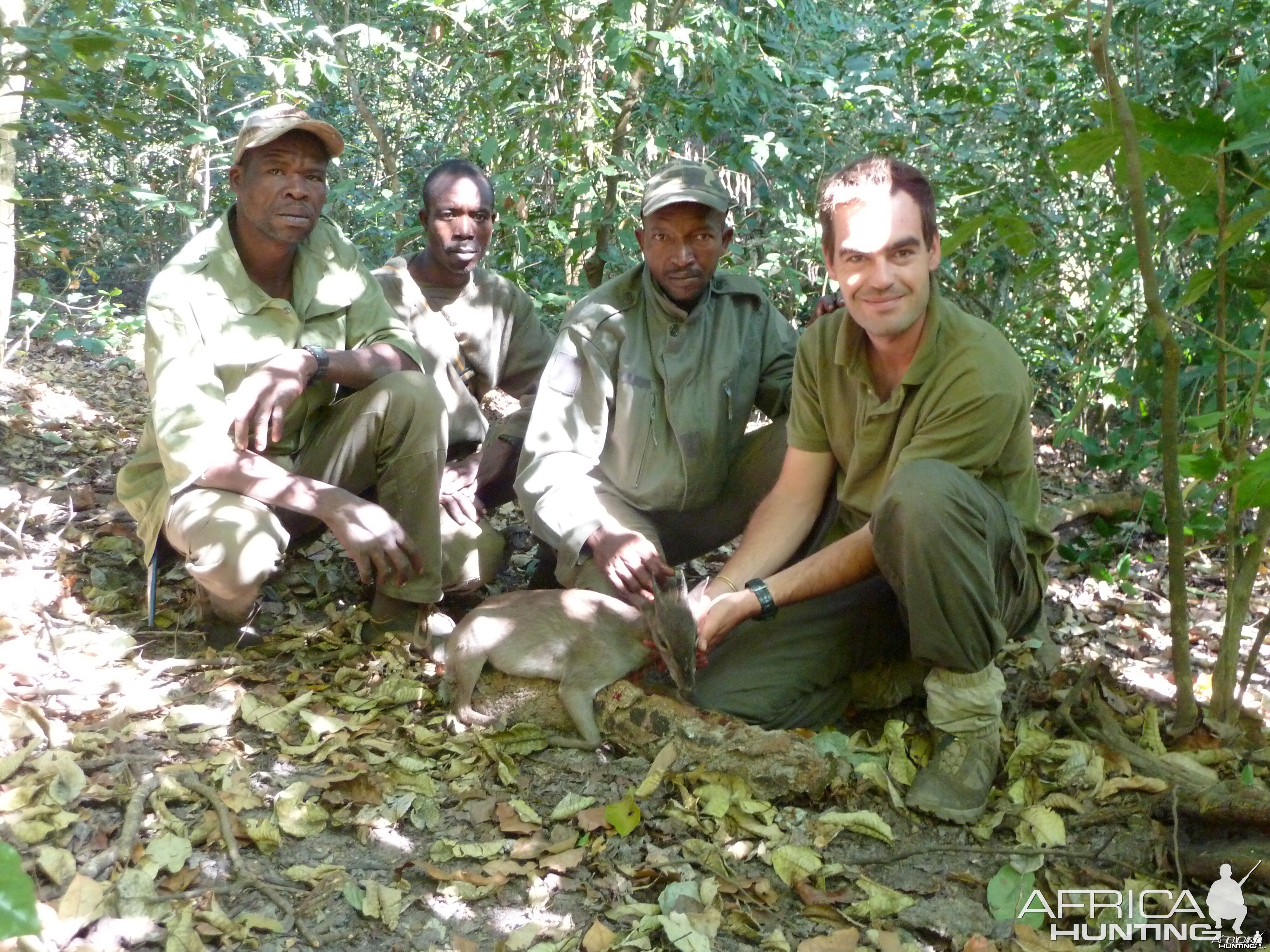 Blue Duiker hunted in Central Africa with Club Faune