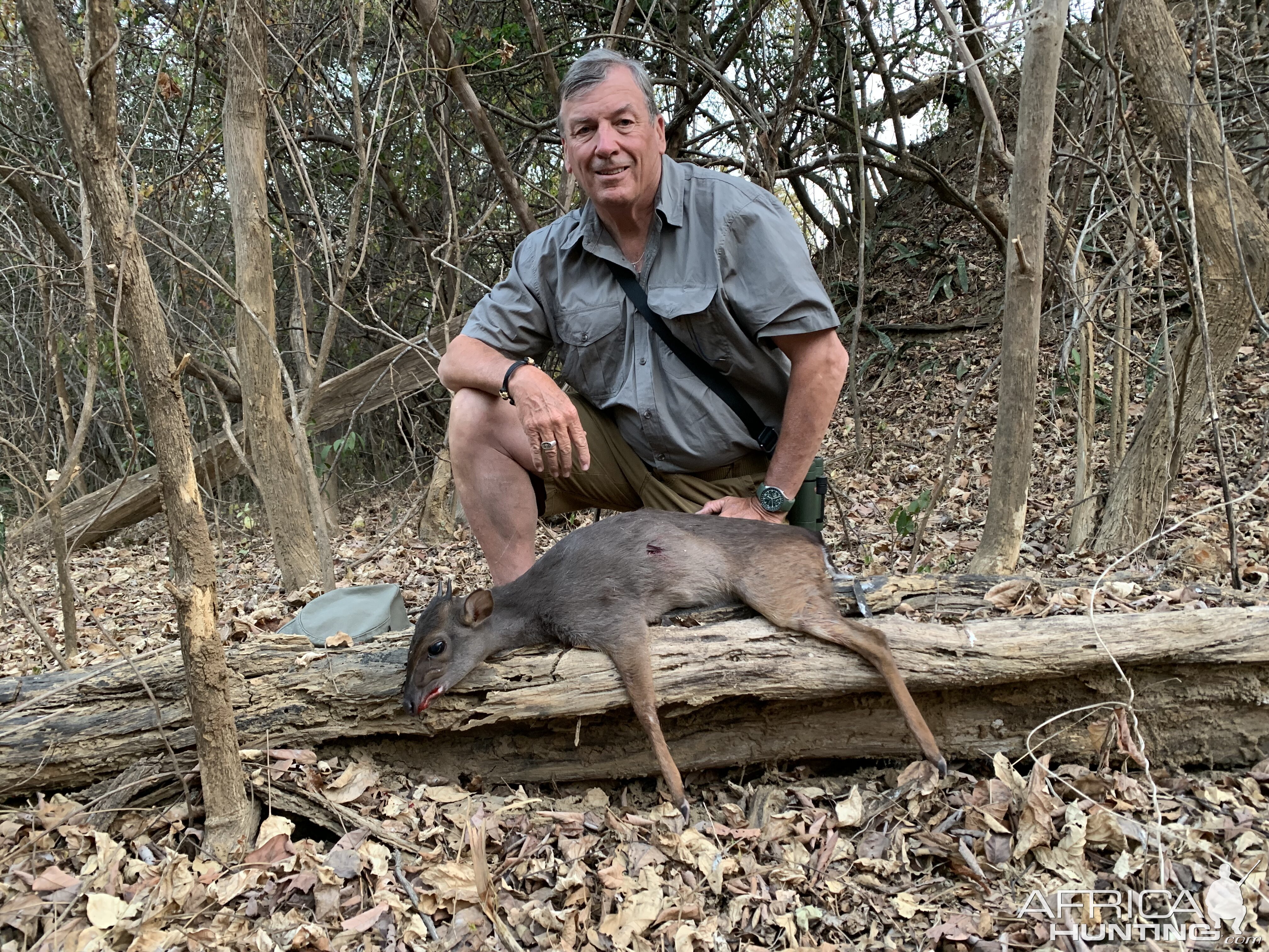 Blue Duiker Hunting Zambia