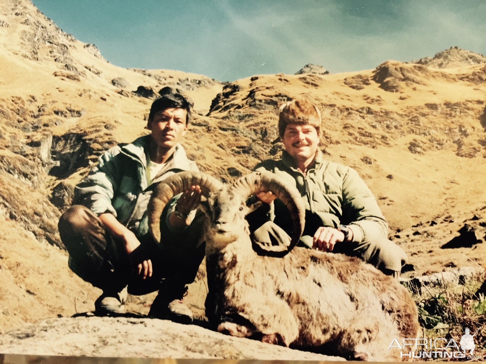 Blue Sheep Hunt Nepal