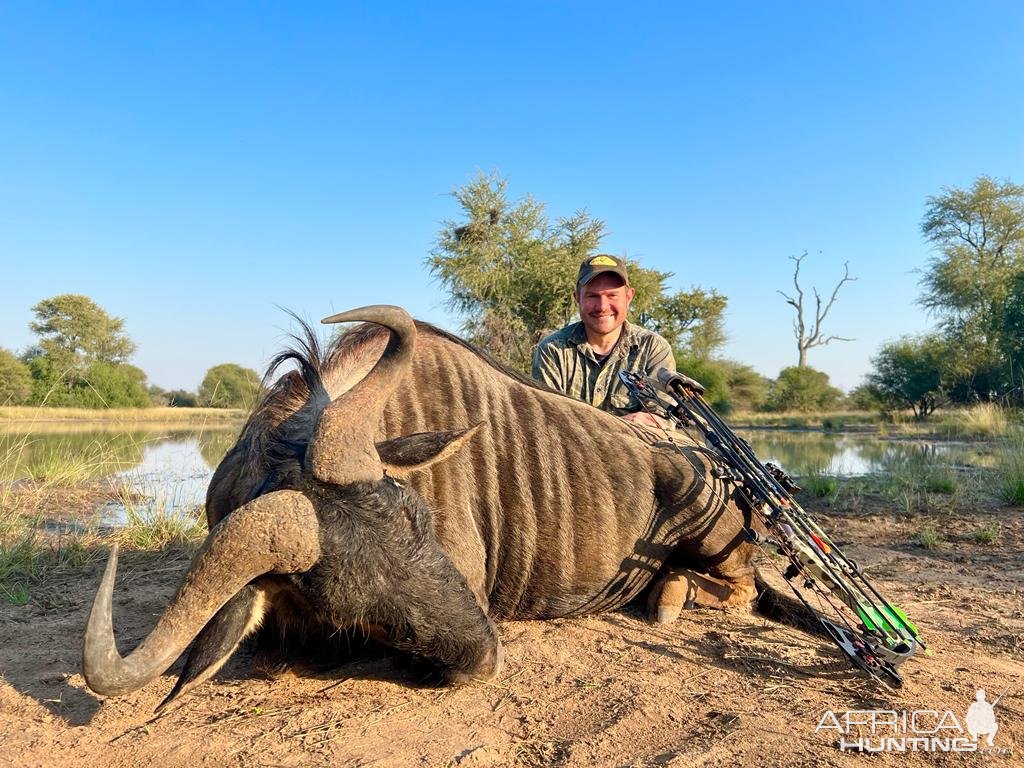 Blue Wildebeest Bow Hunt South Africa