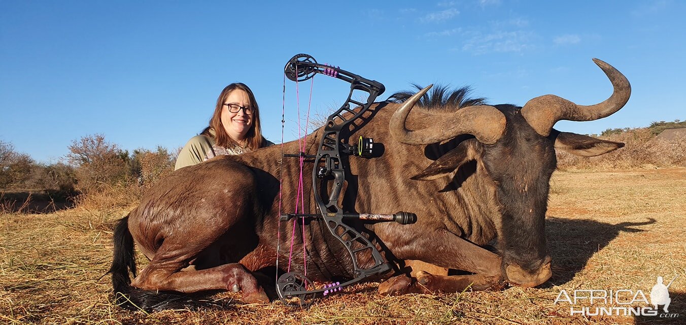 Blue Wildebeest Bow Hunting South Africa