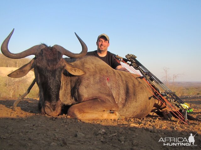 Blue Wildebeest Bow Hunting