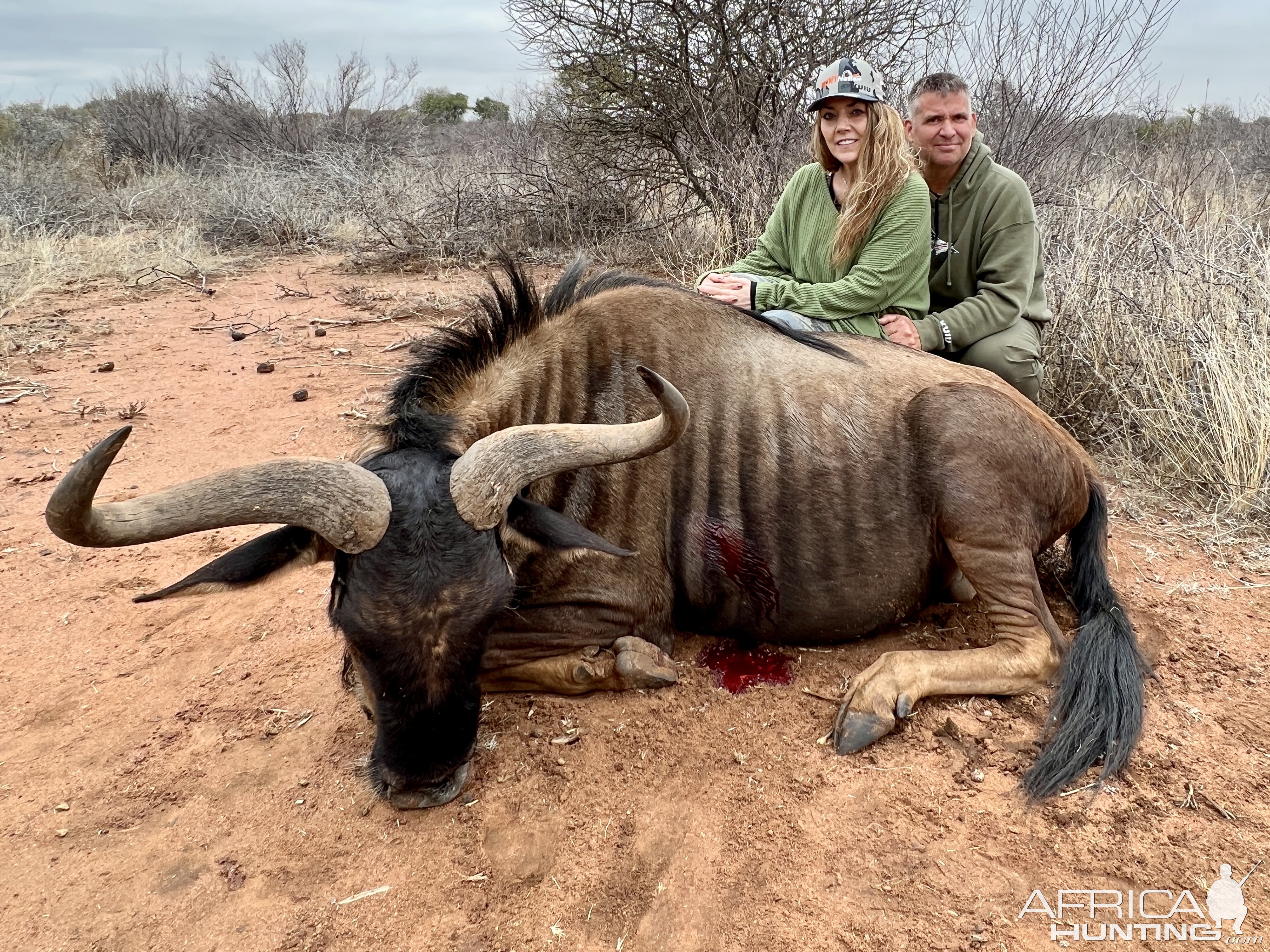 Blue Wildebeest Crossbow Hunt South Africa