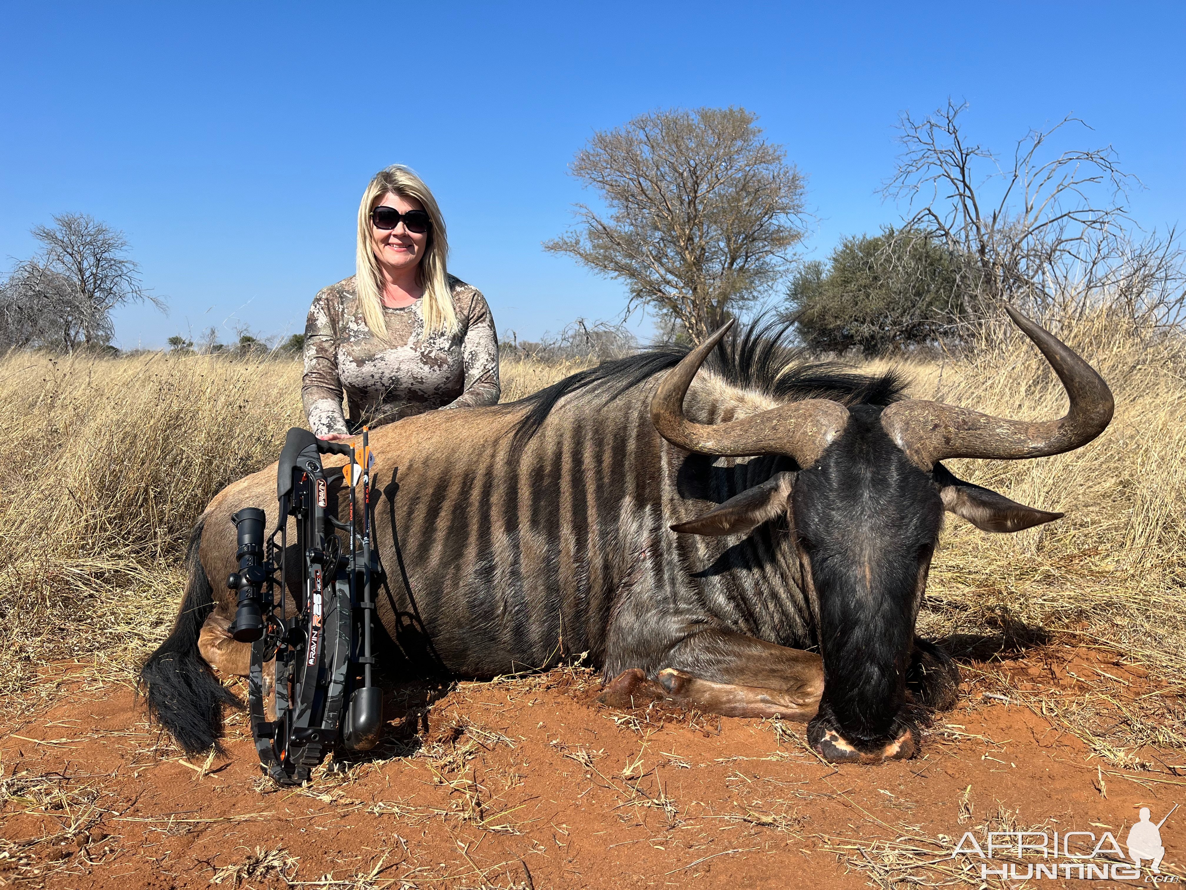 Blue Wildebeest Crossbow Hunt South Africa