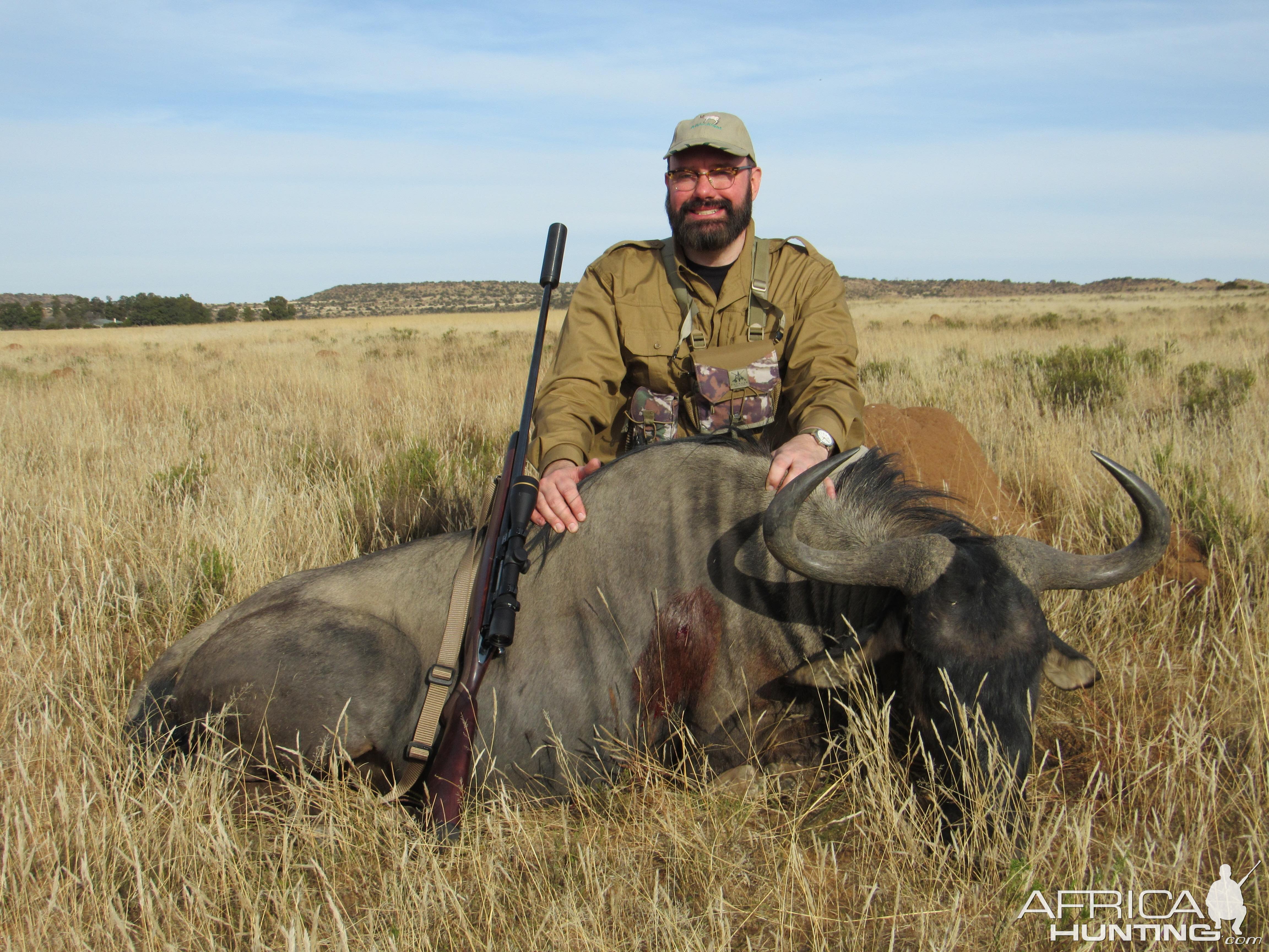 Blue Wildebeest Hunt in South Africa