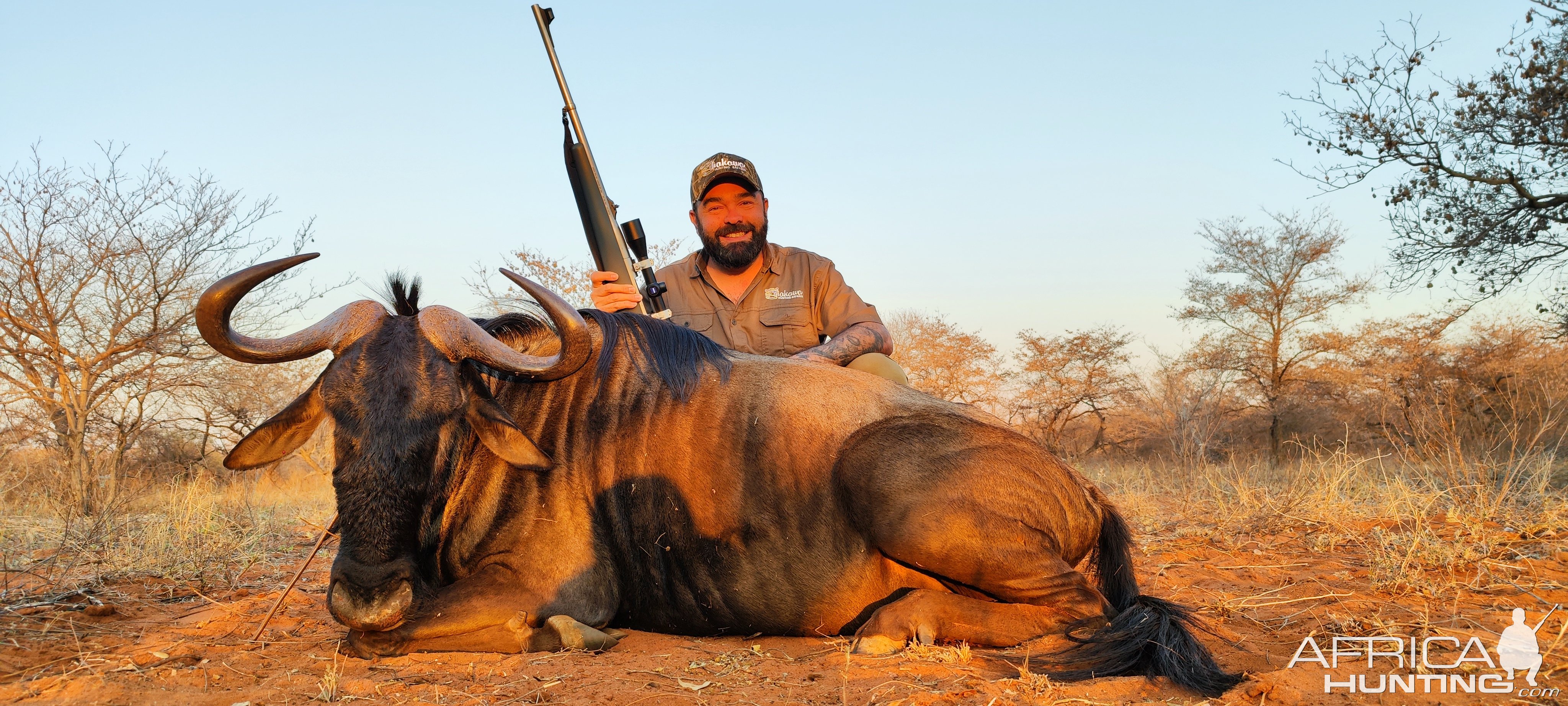 Blue Wildebeest Hunt Limpopo South Africa