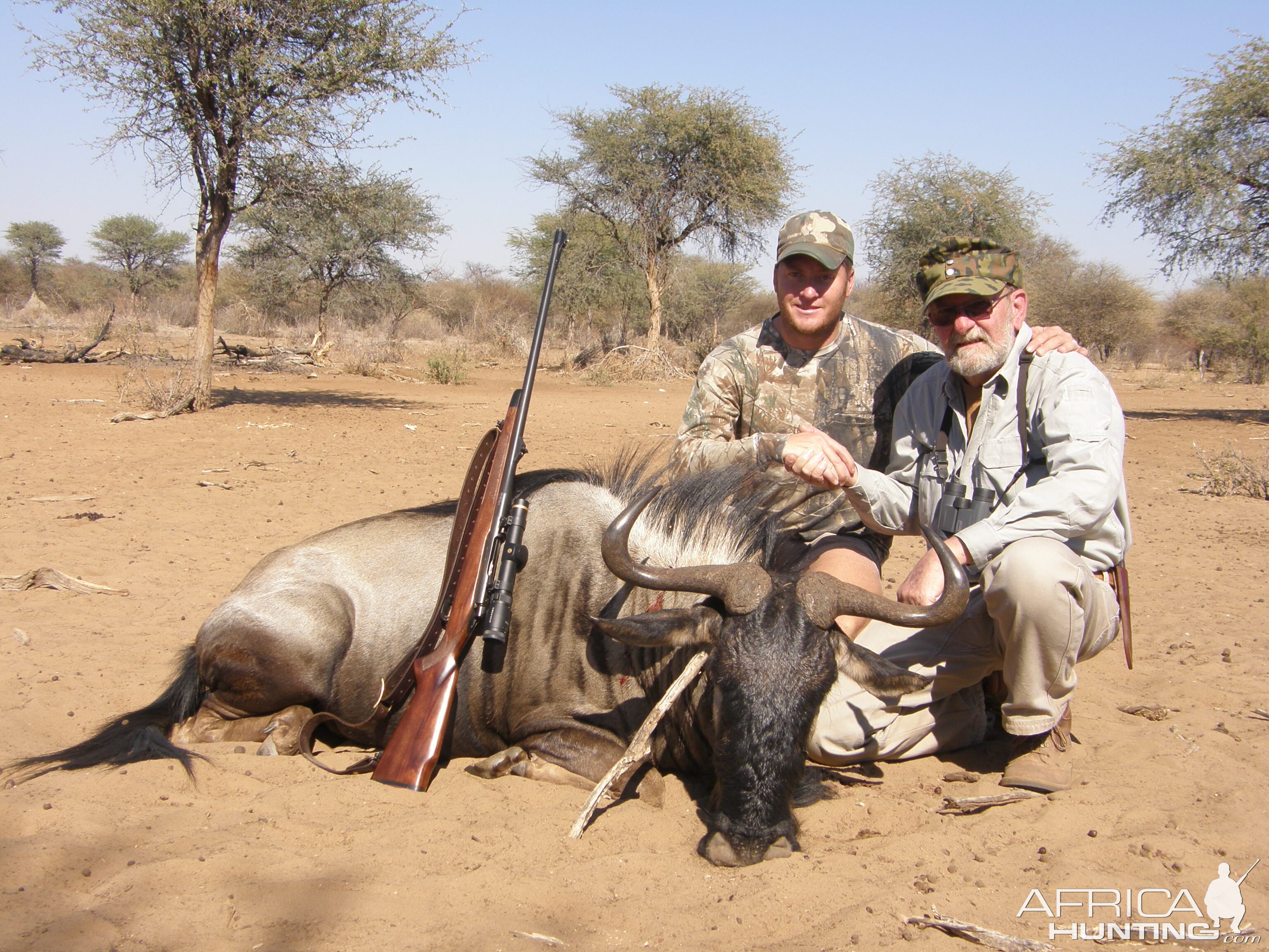 Blue Wildebeest Hunt Namibia