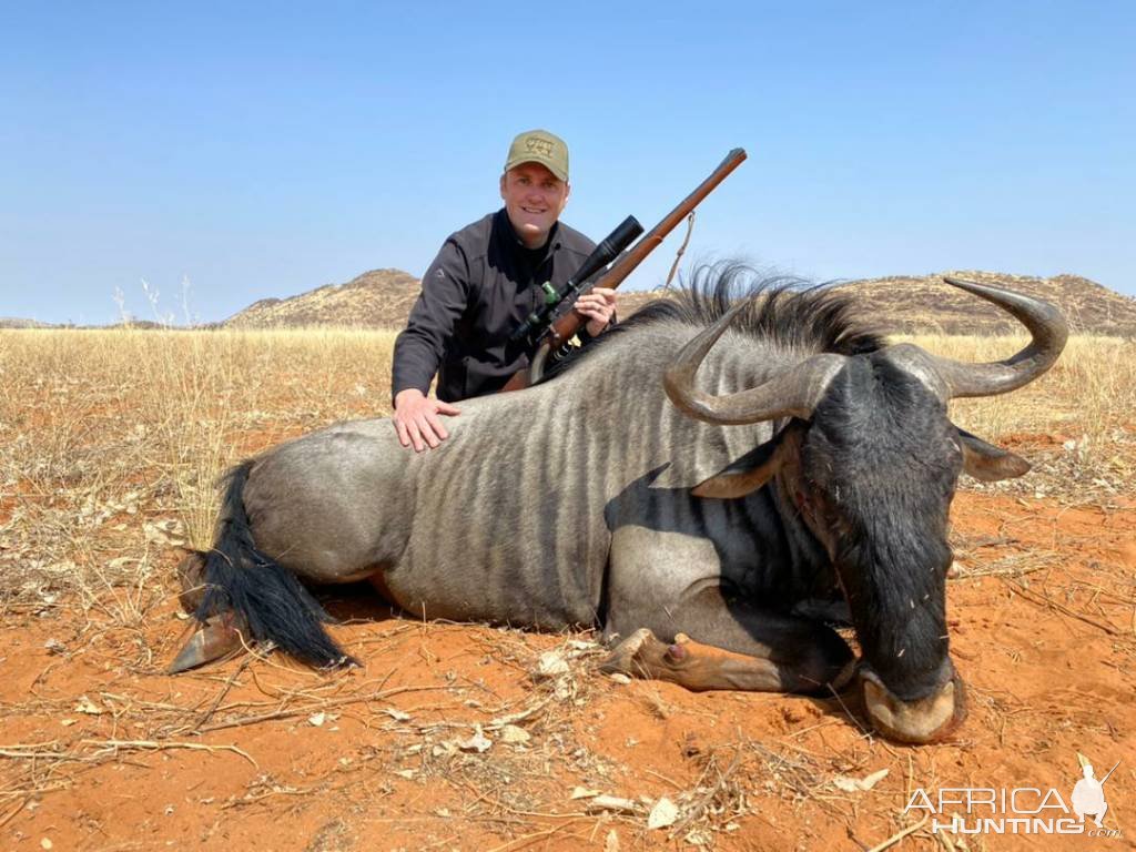 Blue Wildebeest Hunt Namibia