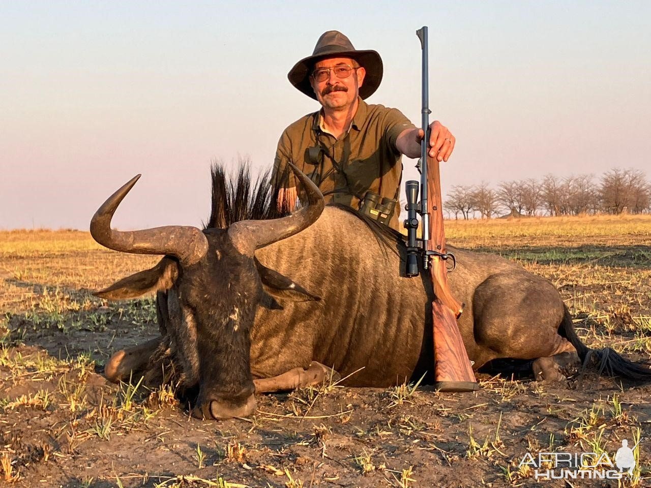 Blue Wildebeest Hunt Namibia