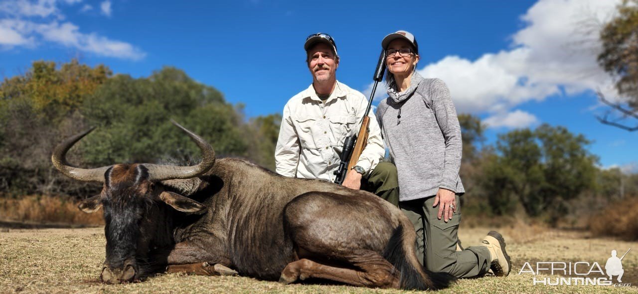 Blue Wildebeest Hunt South Africa