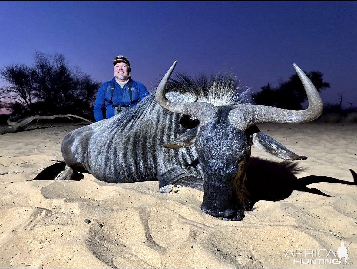 Blue Wildebeest Hunt South Africa