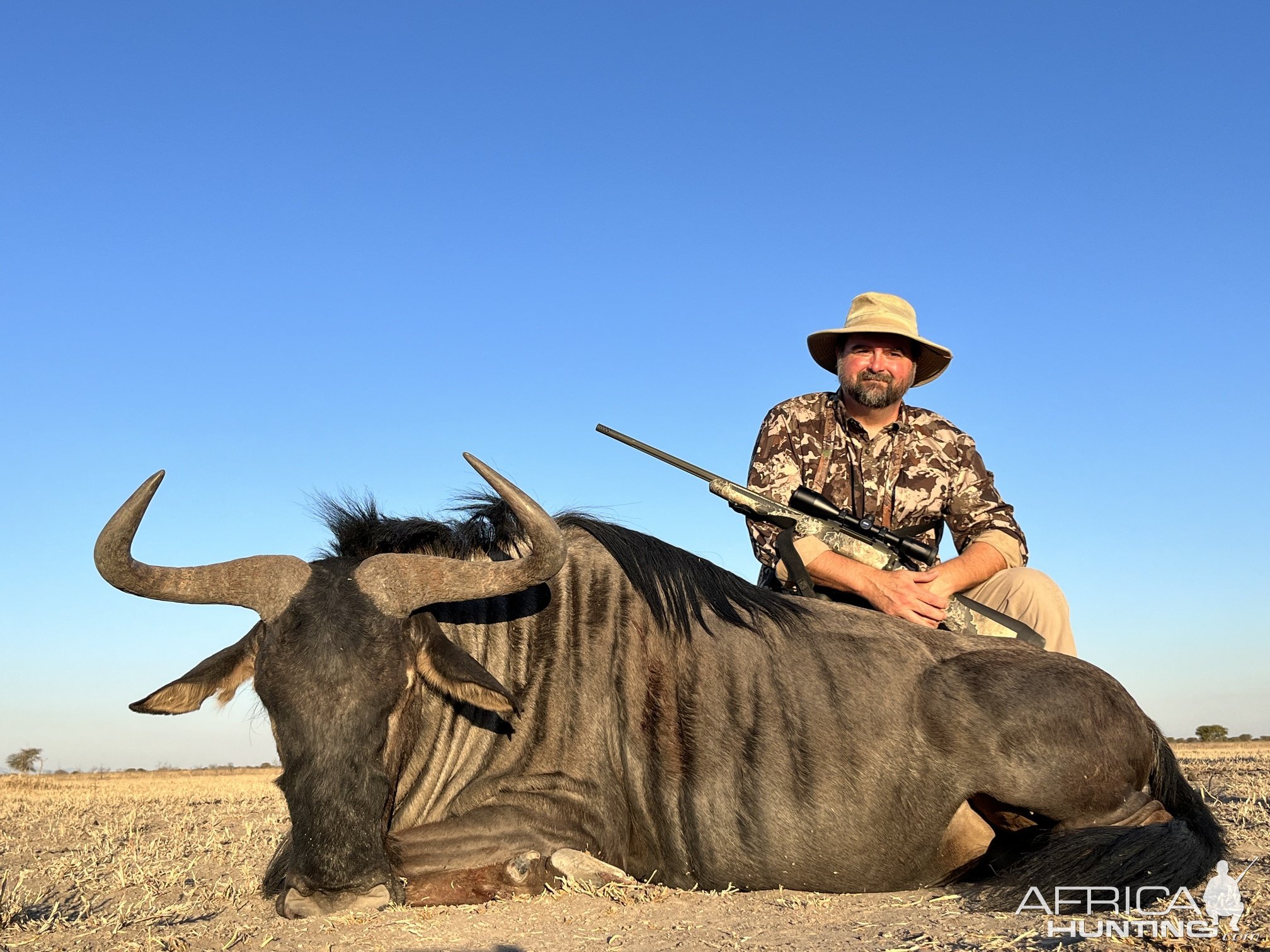 Blue Wildebeest Hunt South Africa