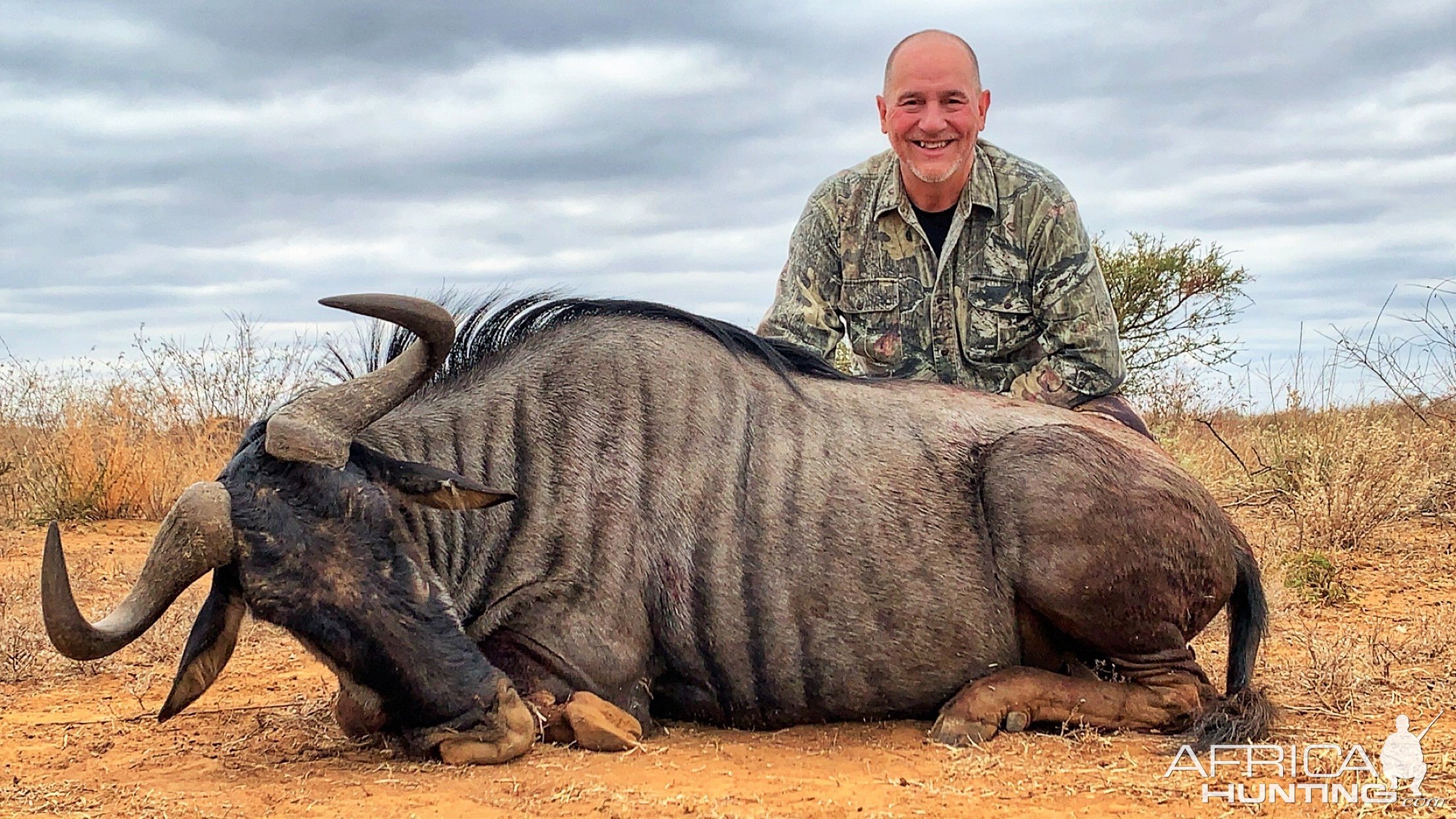 Blue Wildebeest Hunt South Africa