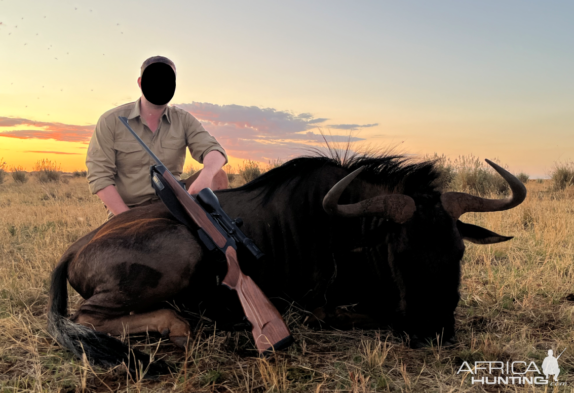 Blue Wildebeest Hunt South Africa