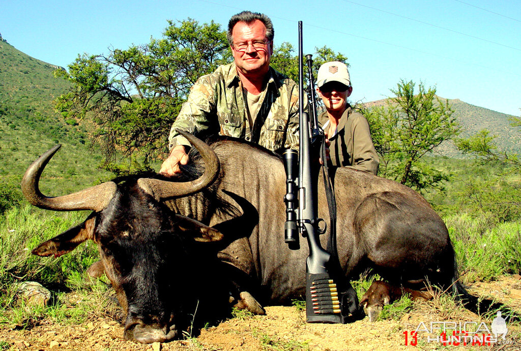 Blue Wildebeest Hunt South Africa