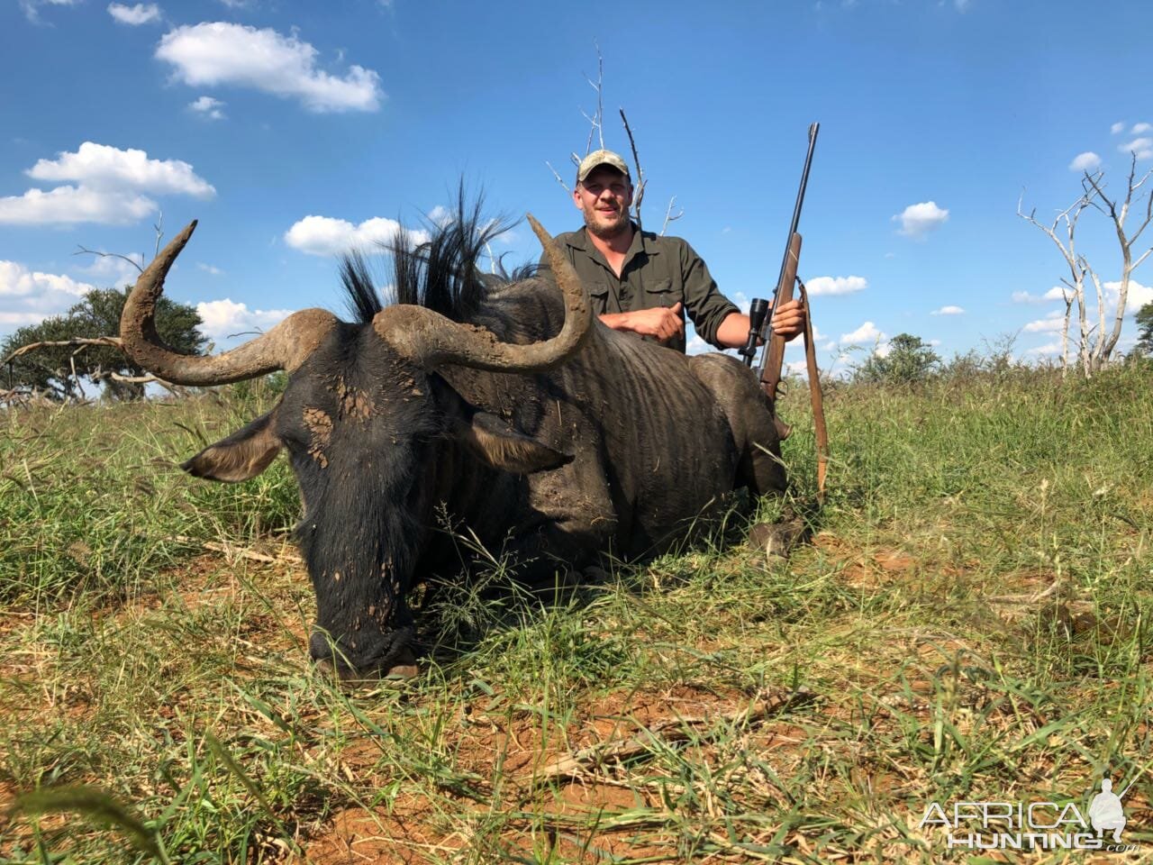 Blue Wildebeest Hunt South Africa