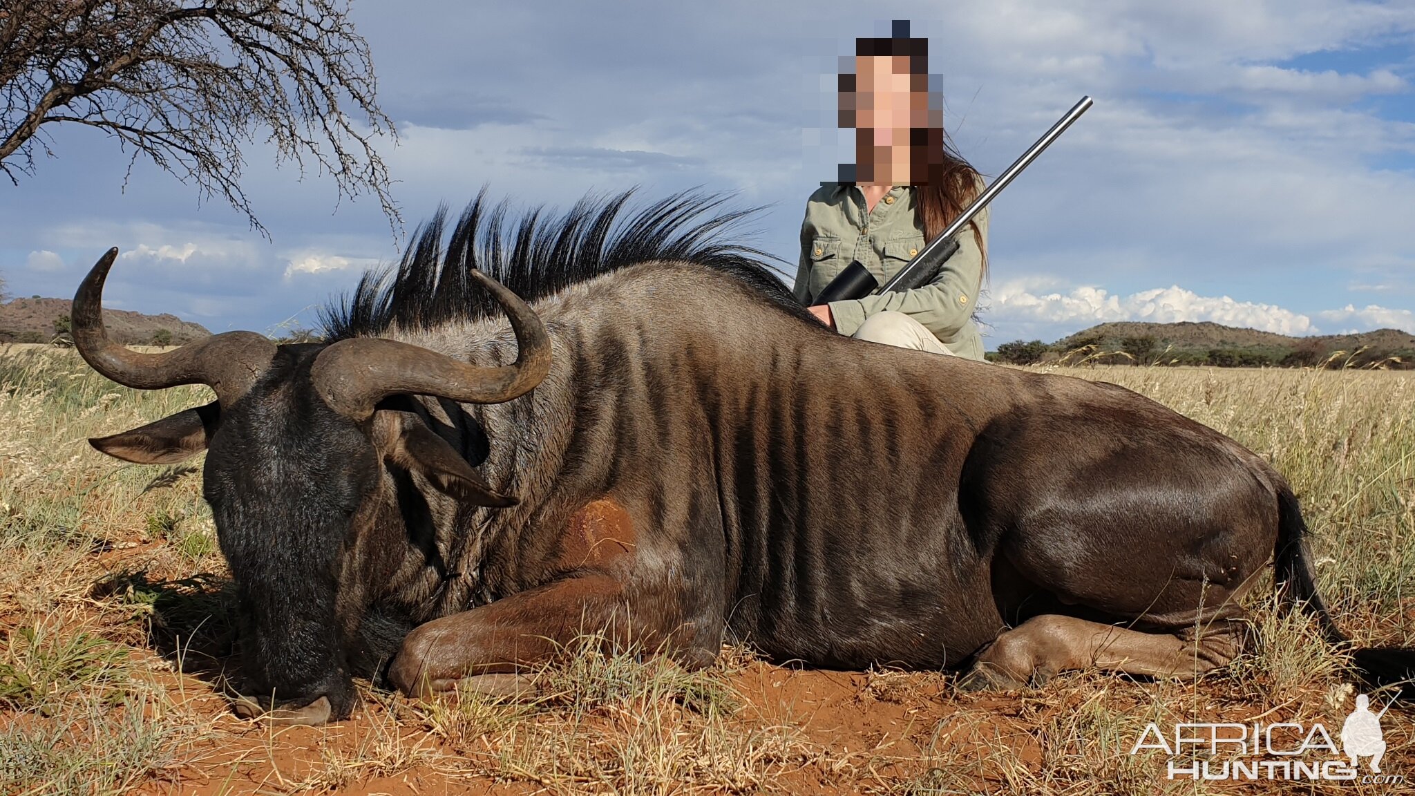 Blue Wildebeest Hunt South Africa