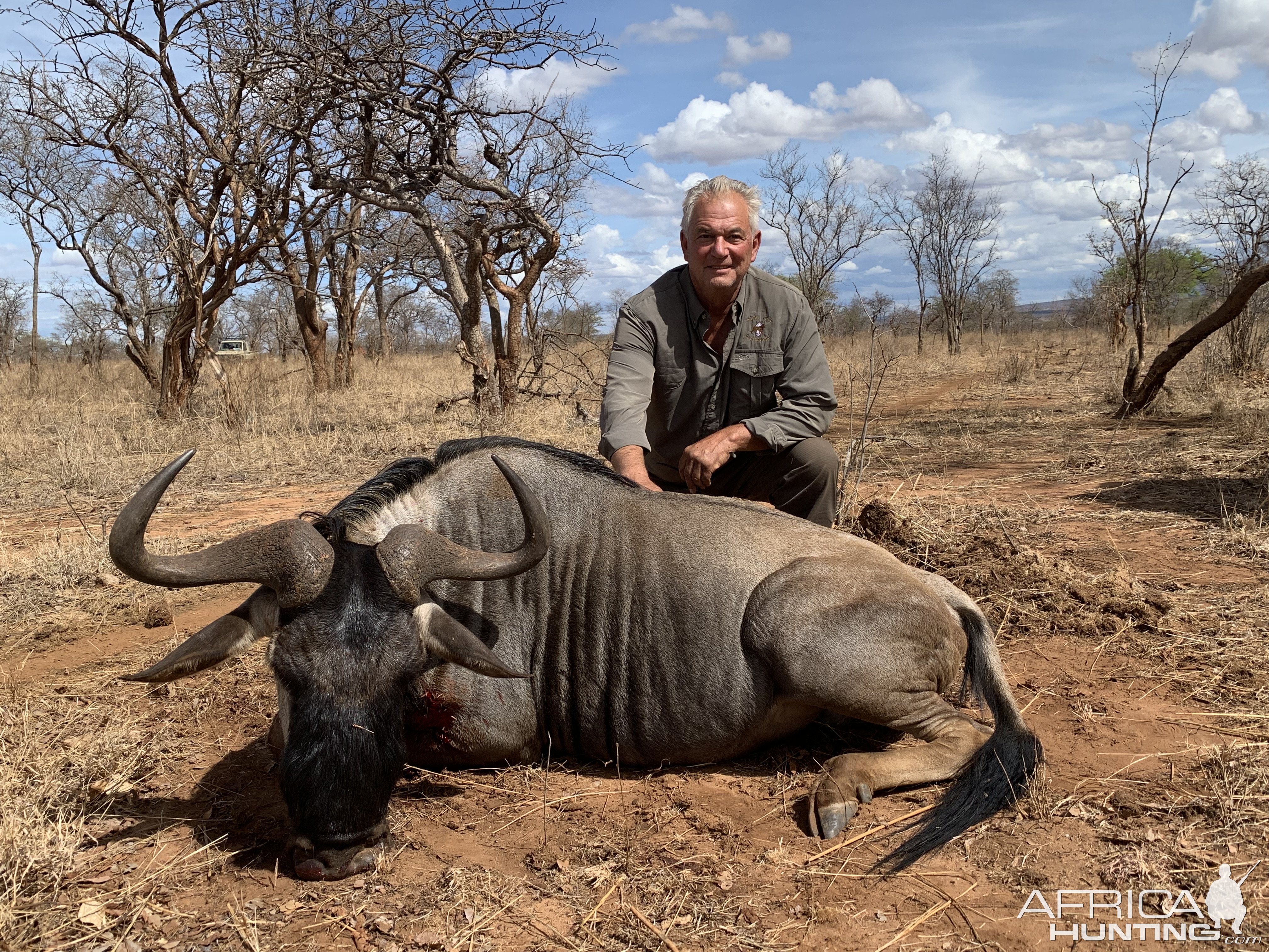 Blue Wildebeest Hunt Tanzania