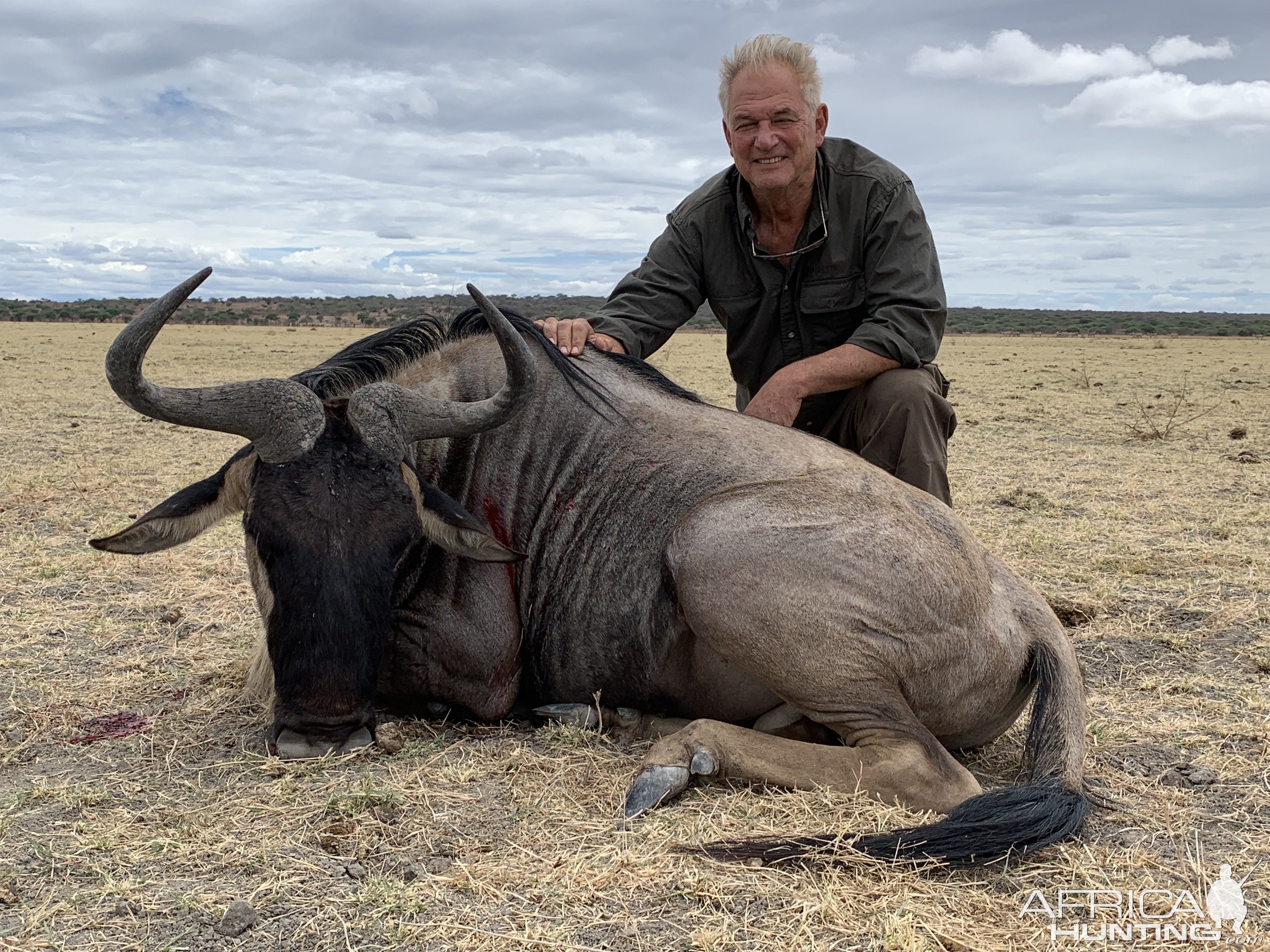 Blue Wildebeest Hunt Tanzania