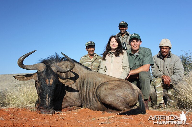 Blue Wildebeest hunt with Wintershoek Johnny Vivier Safaris