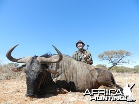 Blue Wildebeest hunt with Wintershoek Johnny Vivier Safaris