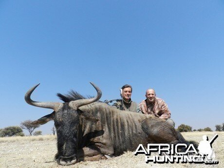 Blue Wildebeest hunt with Wintershoek Johnny Vivier Safaris