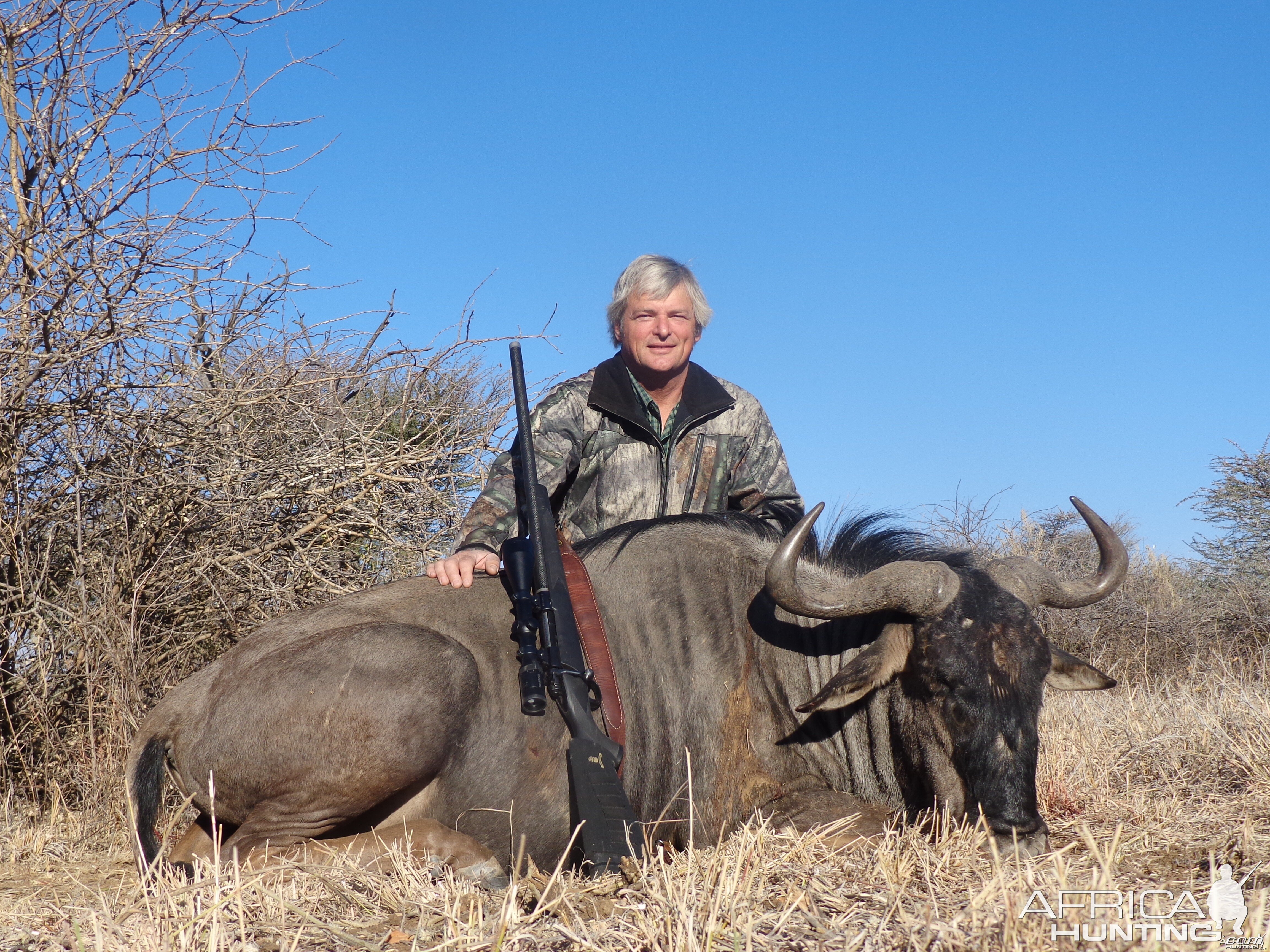 Blue Wildebeest hunted with Ozondjahe Hunting Safaris in Namibia