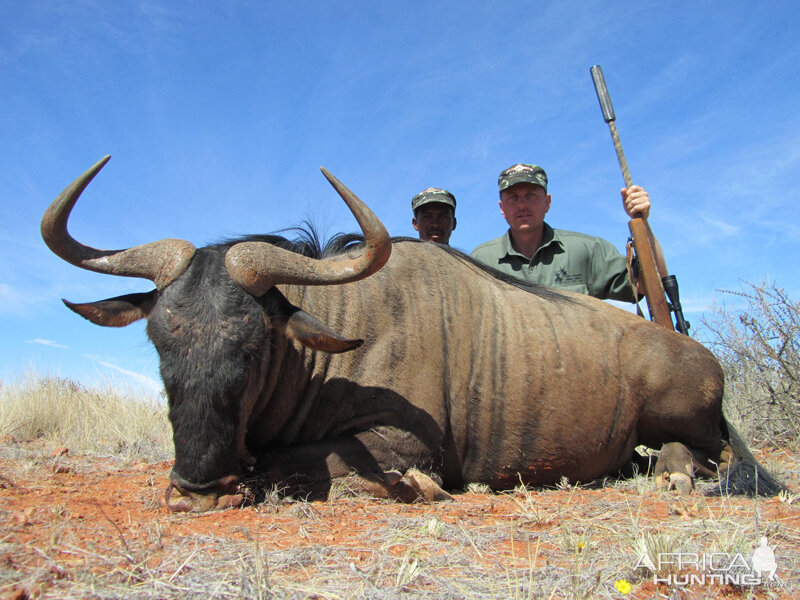 Blue Wildebeest hunted with Wintershoek Johnny Vivier Safaris