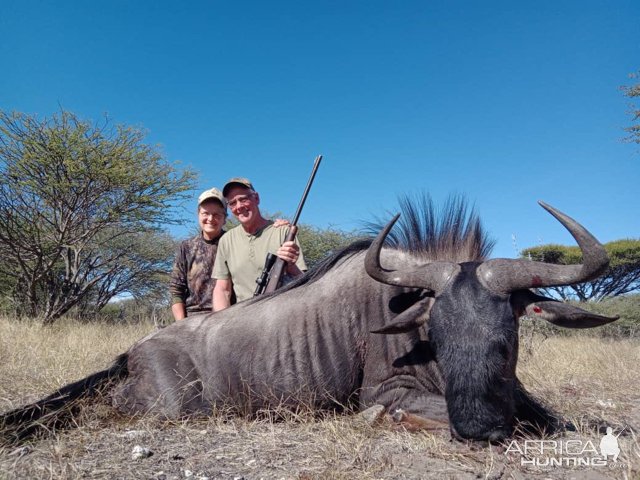 Blue Wildebeest Hunting Botswana