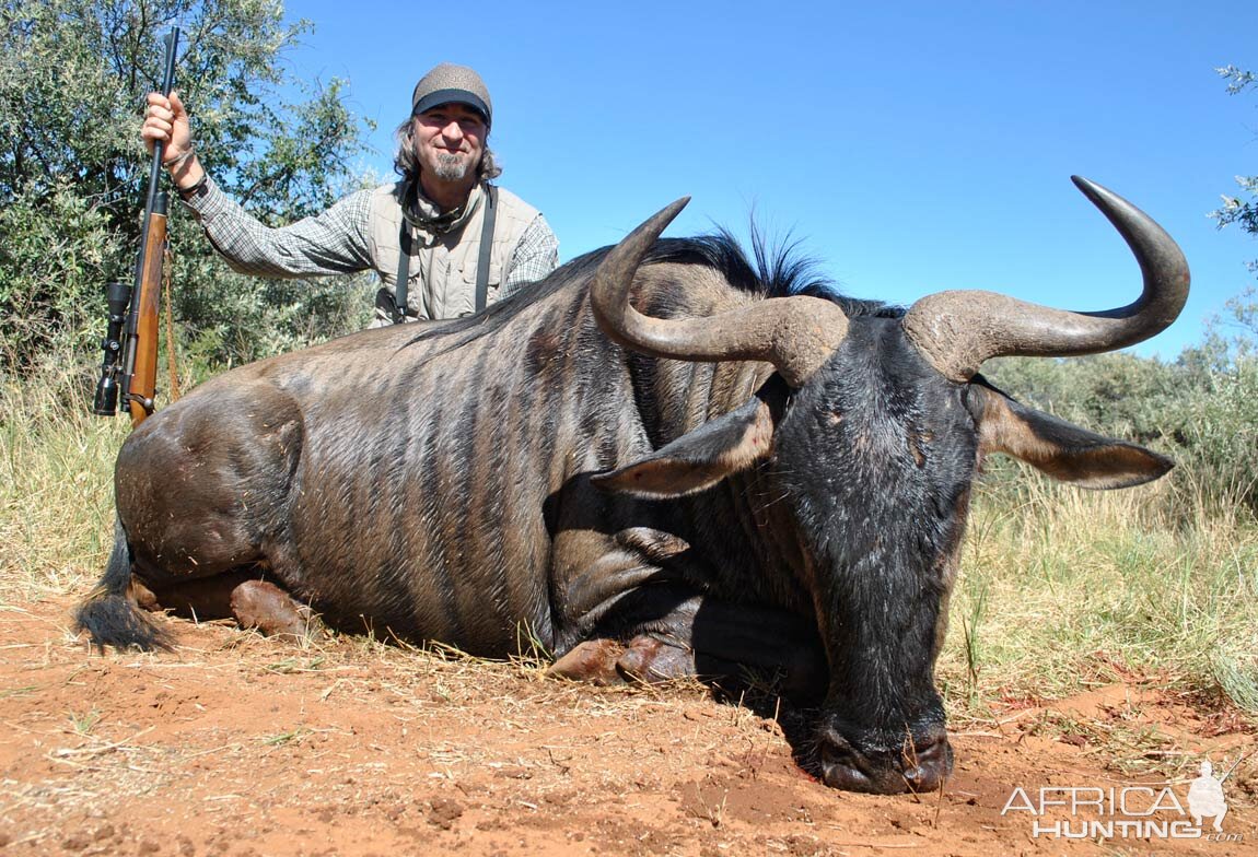 Blue Wildebeest Hunting in South Africa