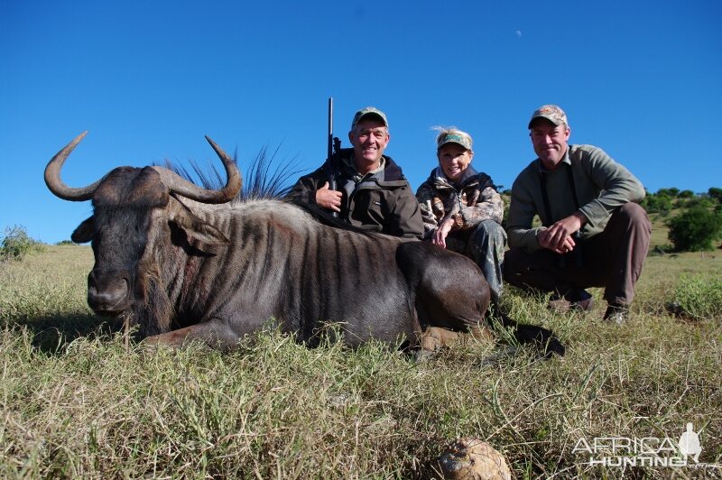 Blue Wildebeest Hunting in South Africa