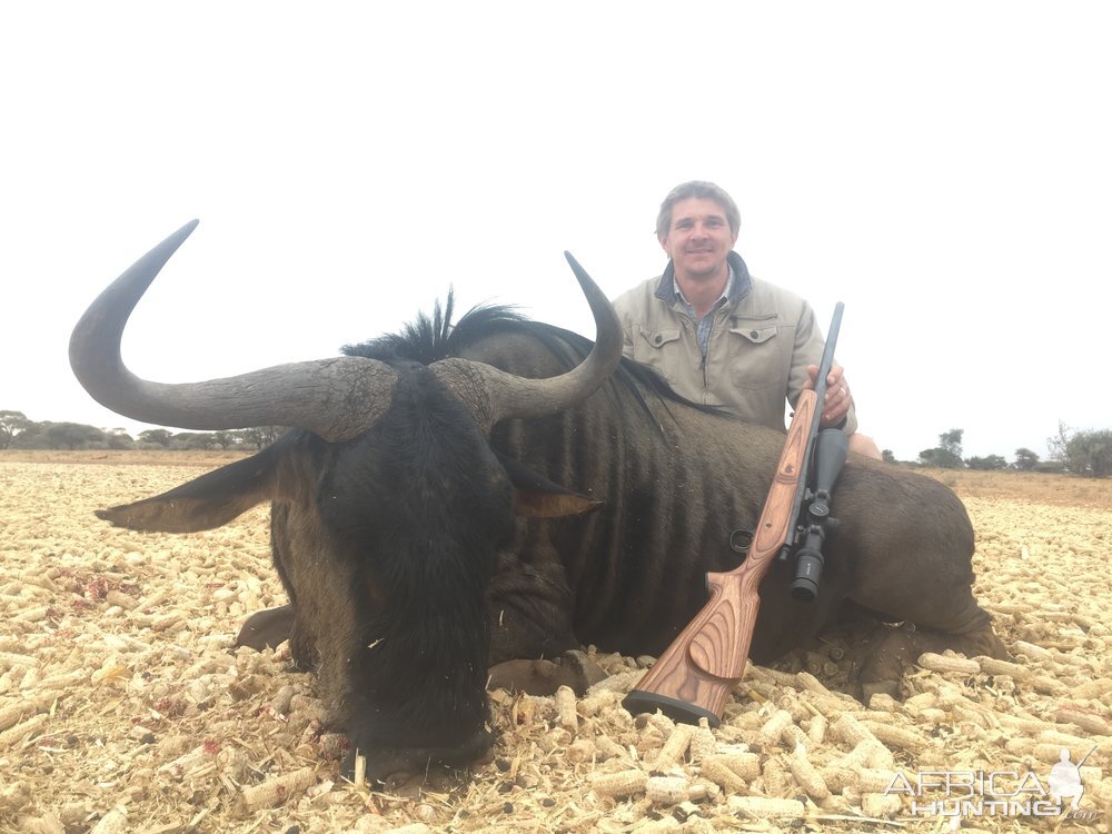 Blue Wildebeest Hunting in South Africa