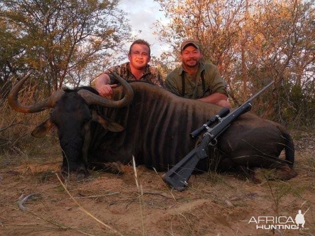 Blue Wildebeest Hunting in South Africa