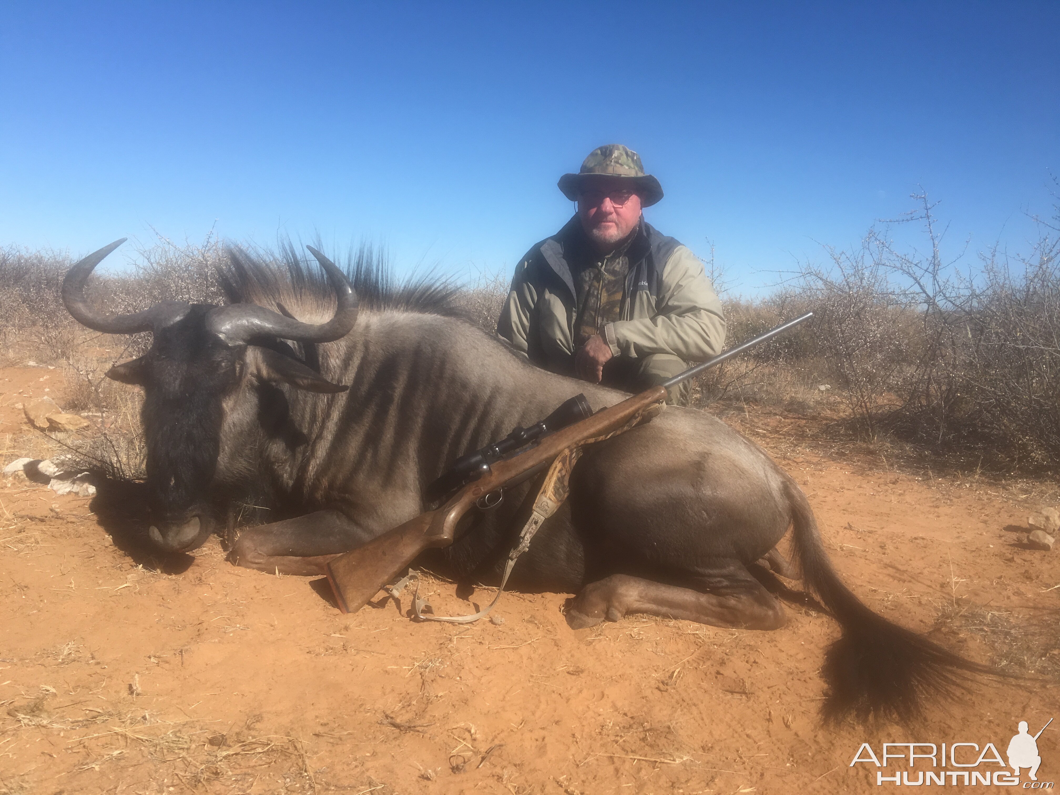 Blue Wildebeest Hunting in South Africa