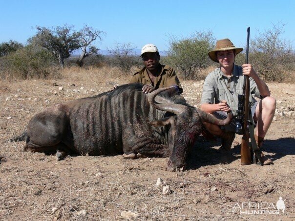 Blue Wildebeest Hunting in South Africa