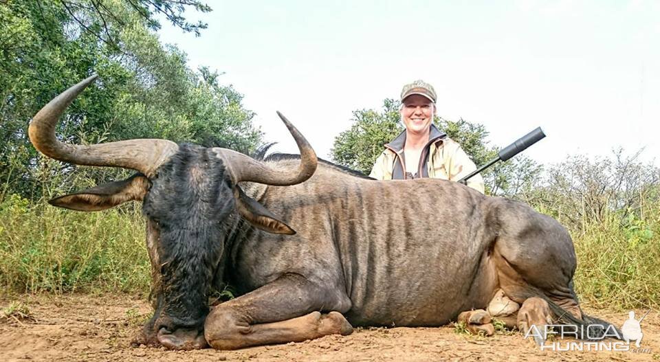 Blue Wildebeest Hunting in South Africa